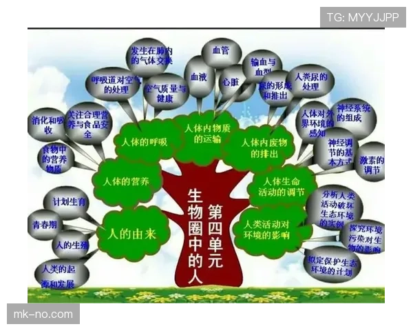 恢复比赛的五种方式及其规则依据